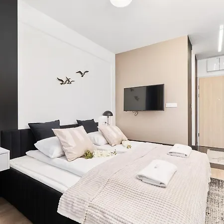 Deluxe Studio Braniborska Near Market Square -with Free Garage By Renters